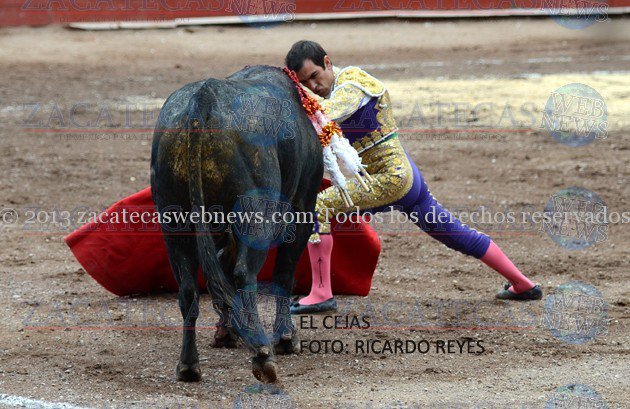 cejas 1