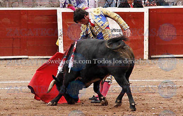 misael (6)