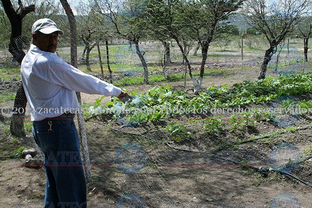 300913 STA GERTRUDIS PINOS (16)