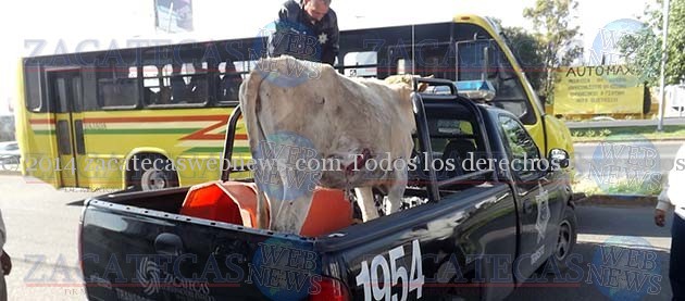 DSCF3071 copia