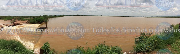 IMG_1050
