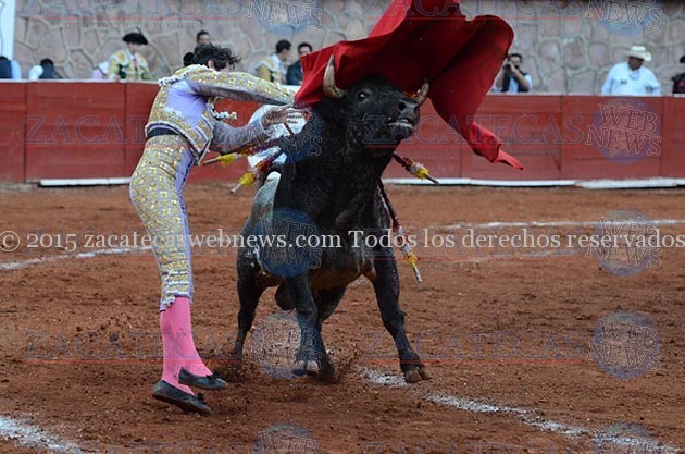 Silveti (1)