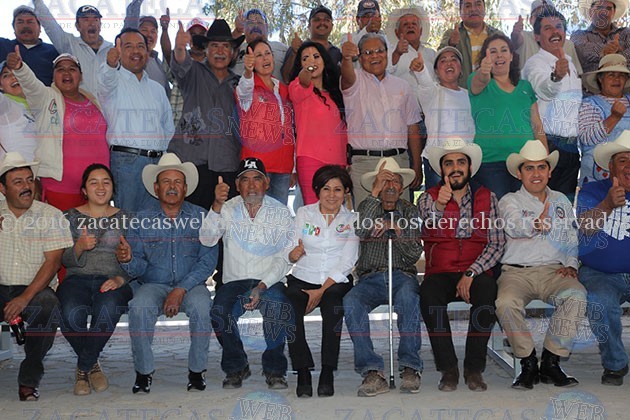 DFS_231 (1)