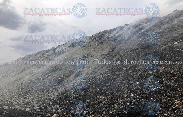 ZACWEB-M. (4)