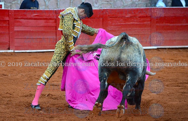 Flores (1)