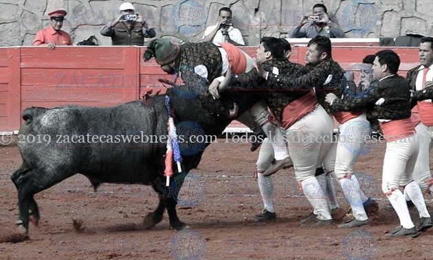 Forcados Mazatlecos (2)