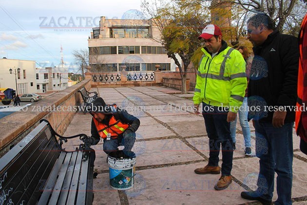 CABALLITO- (2)